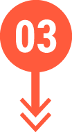 03